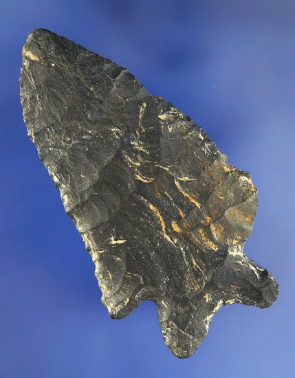 Thin 2 3/4" Coshocton Flint Bifurcated base found in Ohio.