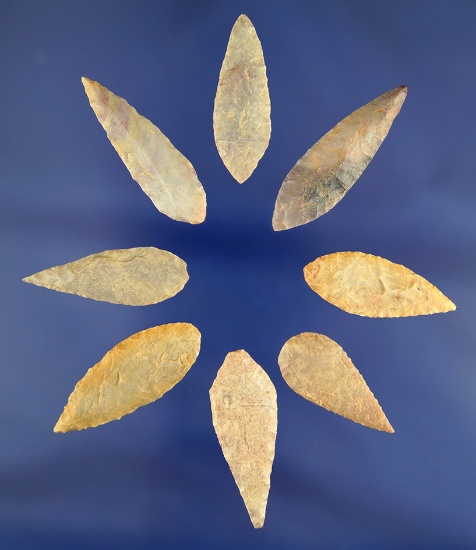 Set of eight well flaked Neolithic arrowheads from the northern Sahara region of Africa.
