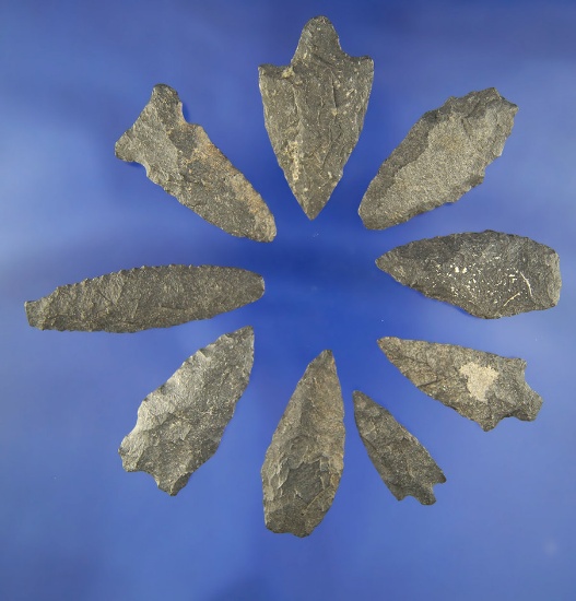Group of 9 assorted Basalt Arrowheads found near the Columbia River ? largest is 1 7/8".