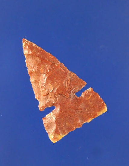 1" well styled  Sidenotch Arrowhead found at an Arikara Indian village site in Sully County SD