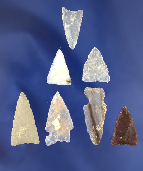 Group of 7 Arrowheads ? largest is 1 1/8"  found at an Arikara Indian village site in  South Dakota