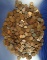 600 Assorted Lincoln Wheat Cents AG-AU