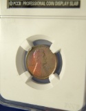 1909 VDB Lincoln Penny