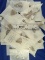 50 Tropical Butterflies unmounted in wax paper envelopes.