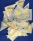 20  unmounted Tropical Pierids in wax paper envelopes.