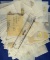 50 U.S. Pierids unmounted in wax paper envelopes.