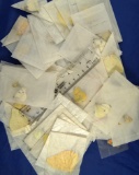 65 Pierids unmounted in wax paper envelopes.