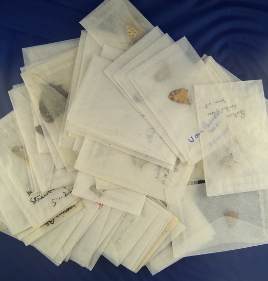 65 assorted small butterflies unmounted  in wax paper envelopes from the U.S.