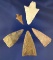 Set of five assorted Arrowheads found in Texas, largest is 2 1/16