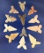 Set of 12 assorted Arrowheads found in Texas, largest is 15/16