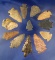 Group of 12 assorted Arrowheads, largest is 2 5/8