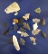Set of 16 assorted artifacts including Bird Points and shell beads, largest is 1 1/4