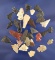 Group of 30 assorted Arrowheads and Bird Points, largest is 1 1/16