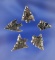 Set of five assorted Calapooya Arrowheads found in Shasta County California, largest is 3/4