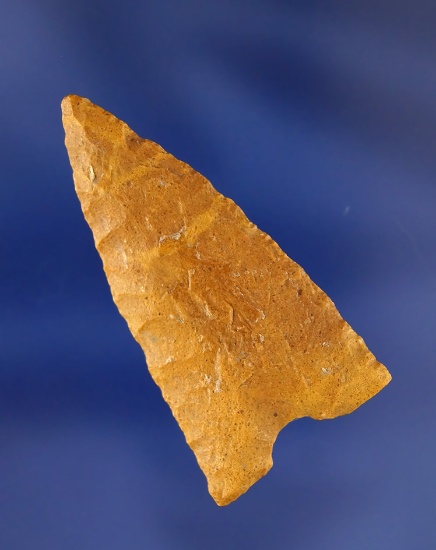 Nicely styled 2" Arrowhead with good flaking. Found in Las Animas Co., Colorado by Joella and Robert