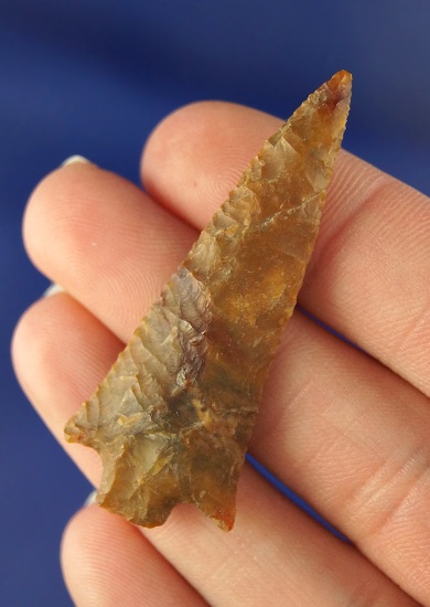 Exceptional! 2 1/16" finely flaked Rabbit Island point found near Savies Island on the lower Columbi