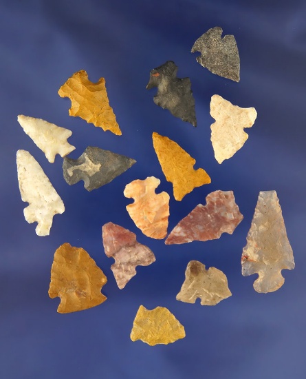 Group of 15 assorted Arrowheads, largest is 1 1/8".  Found in Las Animas Co., Colorado by Joella and