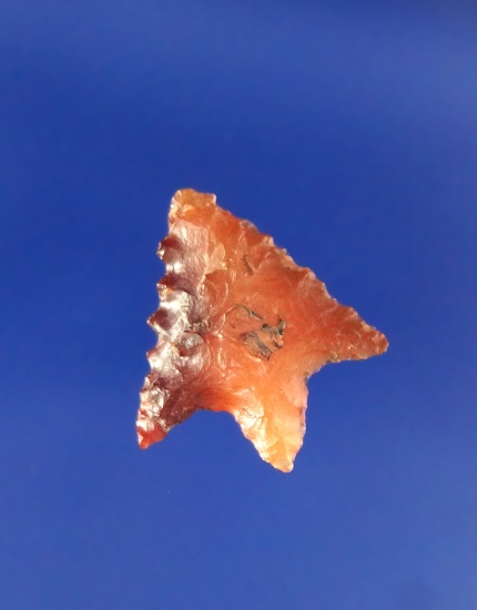 11/16" Rabbit Island Arrow made from beautiful semi translucent Agate found in the Columbia River. B