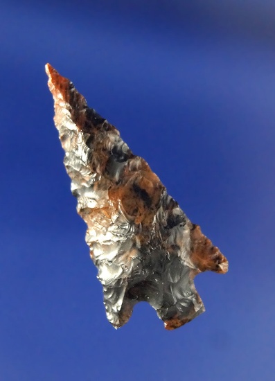 1 5/16" Mahogany Obsidian Gem Point in excellent condition found near the Columbia River, Oregon.