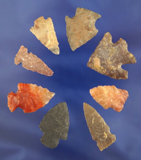 Set of eight Arrowheads, largest is 1 1/4".  Found in Las Animas Co., Colorado by Joella and Robert