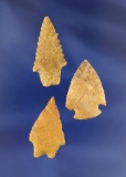 Set of 3 Arrowheads, largest is 1 3/8