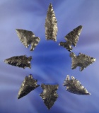 Set of eight assorted Obsidian Arrowheads found by the late Hank Casiday of Lakeview Oregon between