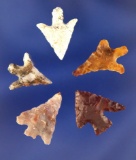 Set of 5 Columbia Plateau points, largest is 3/4