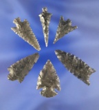Set of 6 Obsidian Arrowheads found near Klamath Lake Oregon. Largest is 1 9/16