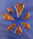 Set of seven assorted Mahogany Obsidian Arrowheads found by the late Hank Casiday of Lakeview Oregon