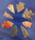 Set of eight Arrowheads, largest is 1 1/4