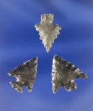 Set of three assorted Obsidian Arrowheads found in Shasta County California. Largest it is 3/4
