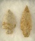 Pair of Ohio Arrowheads found in Western Ohio - largest is 3 5/8