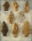 Set of 8 Flint Ridge Flint Arrowheads found in Ohio. Largest is 3