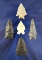 Set of 5 nicely styled Arrowheads, largest is 1 7/8