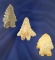 Set of 3 Bifurcated Base Arrowheads found in Ohio and Kentucky. Largest is 1 5/8'.
