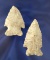 Pair of Coshocton Flint Bifurcate Arrowheads found in Darke Co., Ohio, largest is 2 9/16