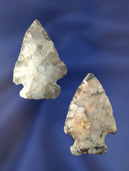 Pair of Flint Ridge Flint Arrowheads found in Ohio, largest is 1 5/8".