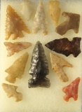 Set of 12 Assorted Western US Arrowheads,  largest is 1 5/16