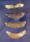 Set of four Paleo Crescents found in Nevada by R. D. Mudge, largest is 1 15/16