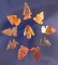 Set of 10 assorted Arrowheads largest is 7/8