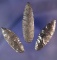 Set of 3 Obsidian Cascade Arrowheads found in Oregon. Largest is 1 7/8