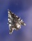 Serrated Needle Tip Calapooya - Obsidian, 13/16” L. Found by Robert Howard  in Linn Co., Oregon.