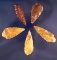 Set of 5 colorful Arrowheads found near the Coeur d' Alene River, Idaho. largest is 1 3/4
