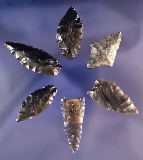 Set of 6 assorted Obsidian Arrowheads found by R. D. Mudge in Nevada. Largest is 1 1/2".