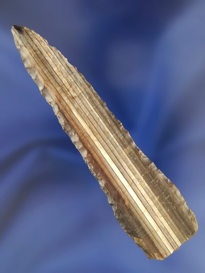 4" Petrified Wood Knife found near The Dalles Basin, Oregon. Ex. Don Gillogly Collection.