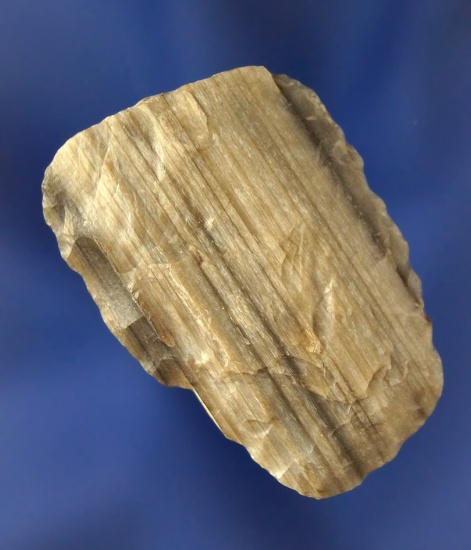 1 5/8" hafted scraper made from attractive Petrified Wood found near the Columbia River.
