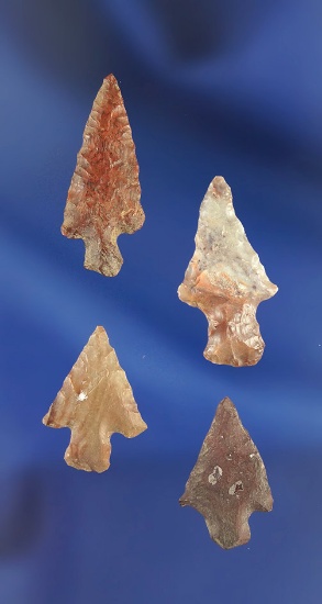 Set of 4 Columbia River Arrowheads - largest is 1",  Washington side of the Columbia River.