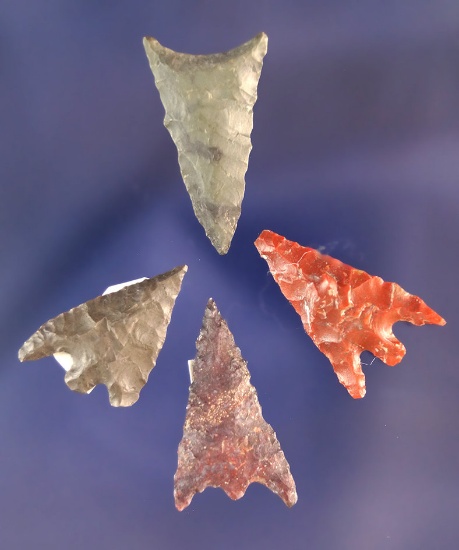 Set of 4 Gunther Arrowheads found in Oregon. Largest is 1".