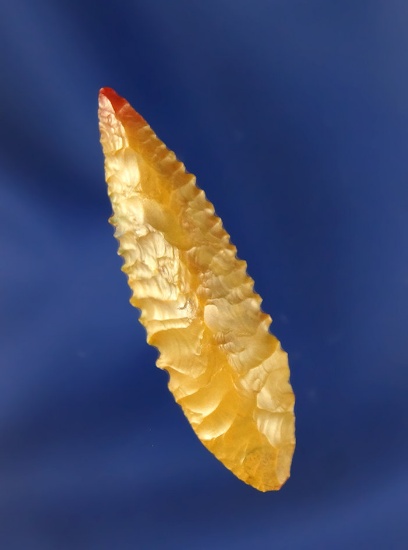 Serrated Cascade , 1 11/16” L, Jasper-Agate. Found by Joyce Bredemeier near Umatilla.