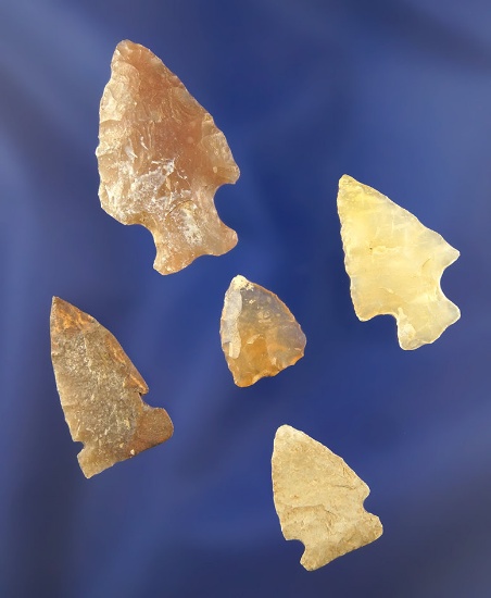 set of 5 very nice Arrowheads found near the Columbia River. Largest is 1 3/8".
